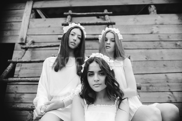 three beautiful girls Stock photo © tekso