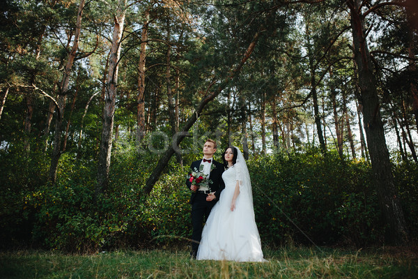 Stock photo: Beautiful wedding couple posing