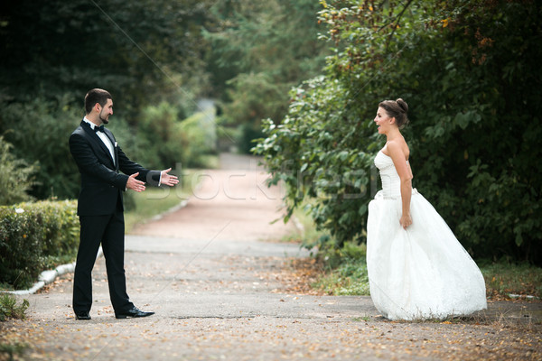 Stock photo: Beautiful wedding couple