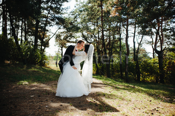 ストックフォト: 美しい · 結婚式 · カップル · ポーズ · 森林 · 女性