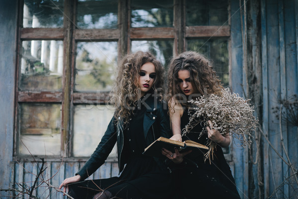 Zwei Jahrgang Halloween Frauen Hintergrund schwarz Stock foto © tekso
