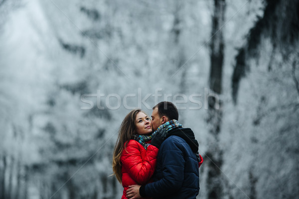 couple walking on a winter park Stock photo © tekso