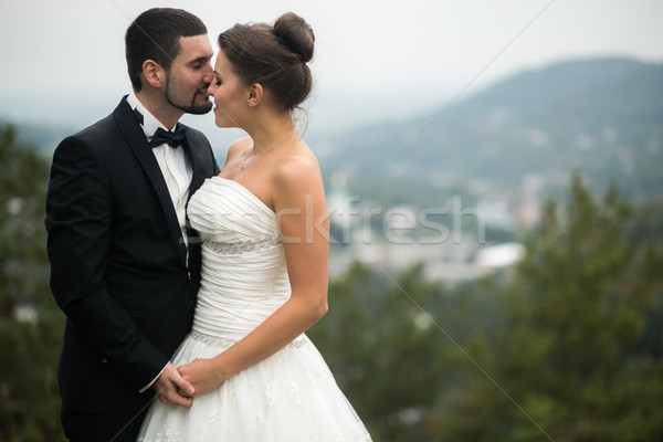 Wedding couple on nature Stock photo © tekso