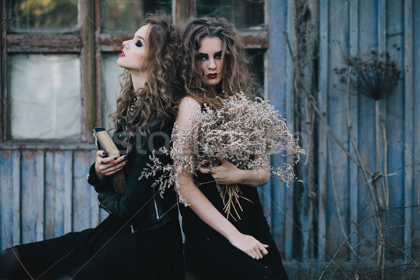 Two vintage witches gathered eve of Halloween Stock photo © tekso