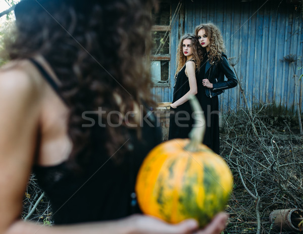 three vintage women as witches Stock photo © tekso