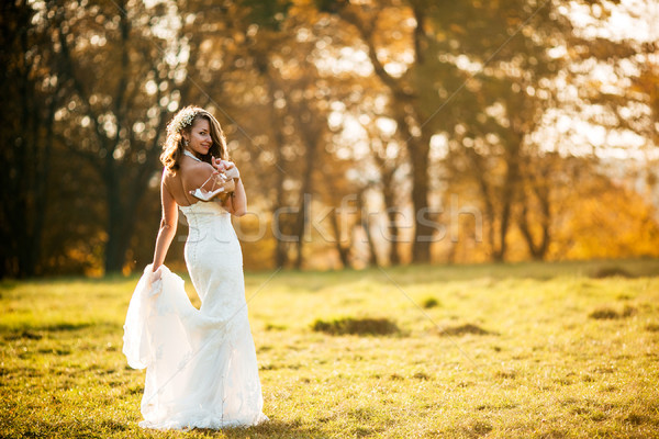 Bella sposa posa autunno prato albero Foto d'archivio © tekso
