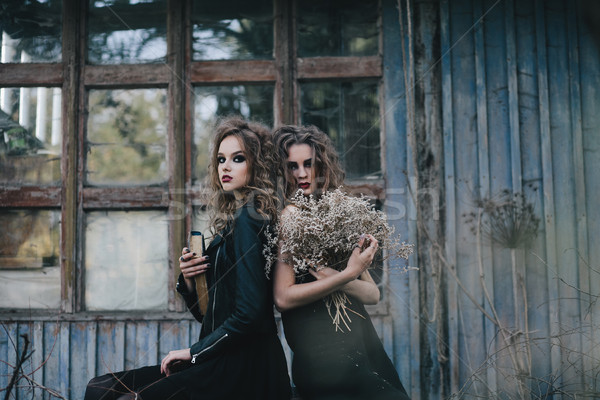 Twee vintage halloween vrouwen achtergrond pak Stockfoto © tekso
