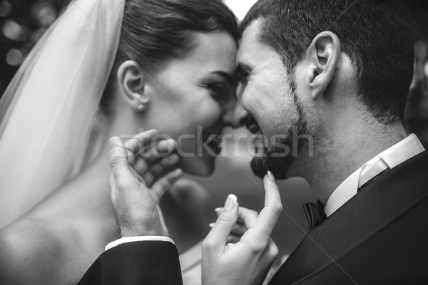 beautiful bride caress gently, the groom's face Stock photo © tekso