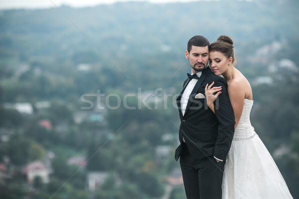 Stock photo: Wedding couple posing for the camera