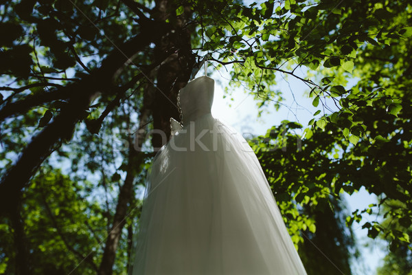 Rochie de mireasa agatat copac parc iarbă modă Imagine de stoc © tekso