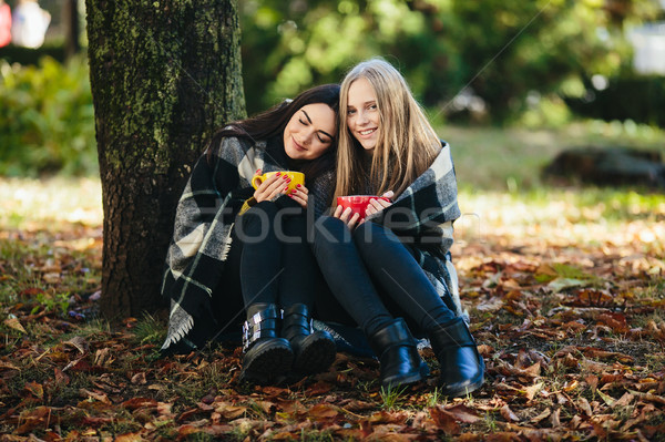 two beautiful in the park, posing for the camera Stock photo © tekso