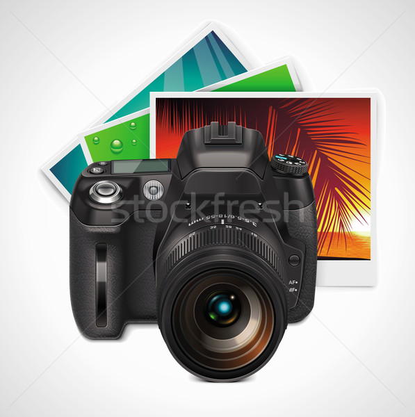Vector camera and photos XXL icon Stock photo © tele52
