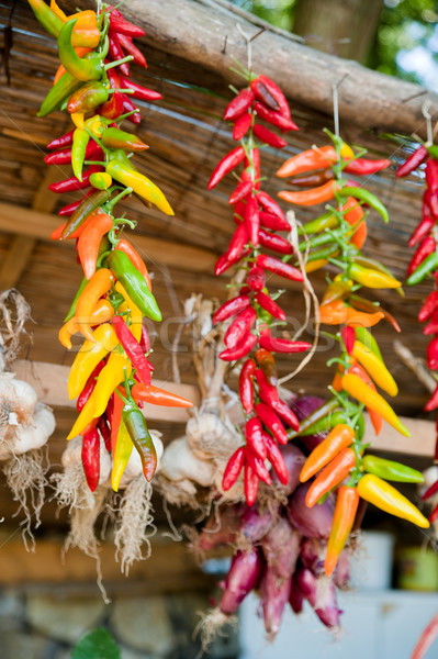 Peppers and Garlic hanging around Stock photo © tepic