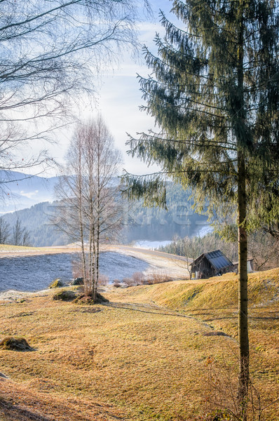 Autumn Landscape in Upper Austria Stock photo © tepic