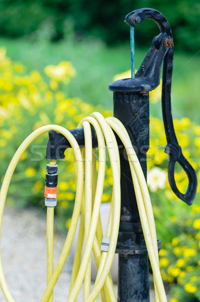 common home garden hose Stock photo © tepic