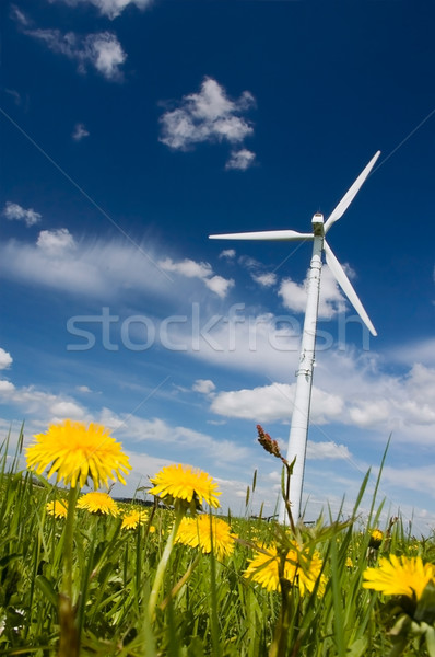Clean Energy Stock photo © tepic