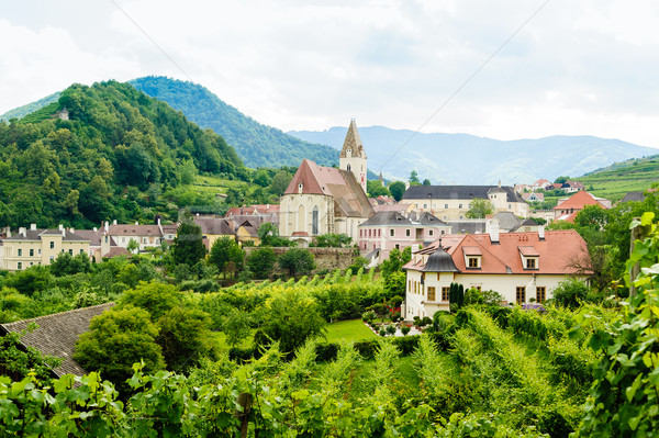 Summer Landscape in Wachau Stock photo © tepic