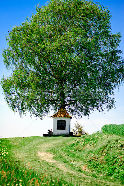 Pequeño capilla árbol manera cielo Foto stock © tepic