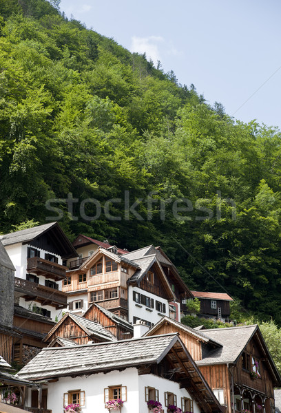 Houses on the Hill Stock photo © tepic