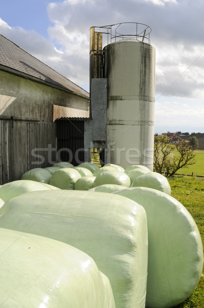 Farm with Silo Stock photo © tepic