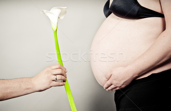 Calla Lily for a pregnant Woman Stock photo © tepic