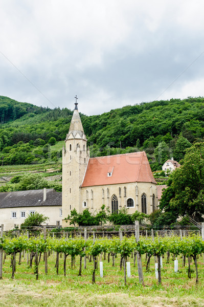 Church in the Vineyard Stock photo © tepic