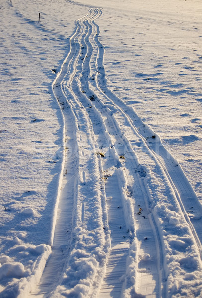 Cross Country Ski Trail Stock photo © tepic