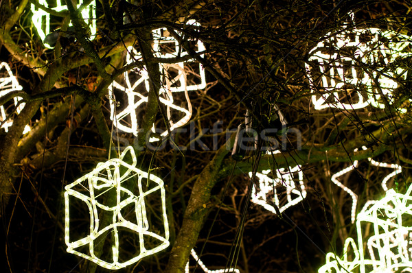 Navidad luces árbol diferente noche vacaciones Foto stock © tepic