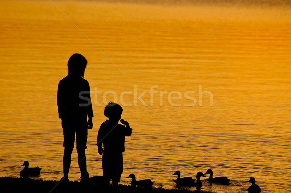 Dos ninos pato puesta de sol playa Foto stock © tepic