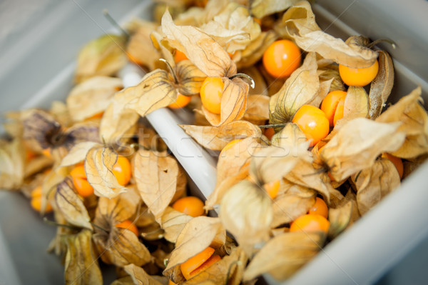 Physalis in a Basket Stock photo © tepic
