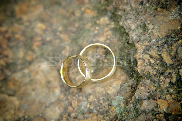 Foto stock: Dorado · anillos · de · boda · piedra · dos · amor · naturaleza