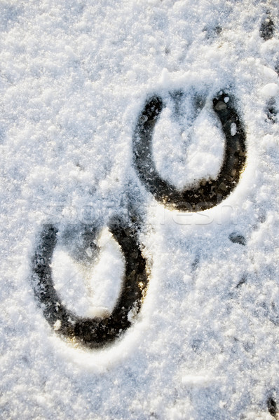 Lábnyom ló hó sétál nyomtatott cipő Stock fotó © tepic