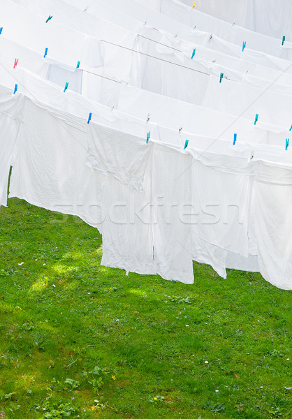 White Washes Stock photo © tepic