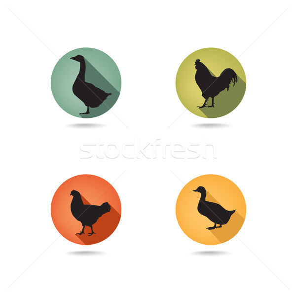 Fermă păsări siluetă animale vector set Imagine de stoc © Terriana