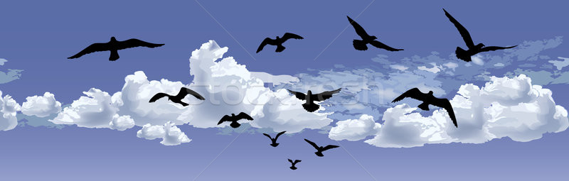 Herde Vogel unter blauer Himmel Tier Tierwelt Stock foto © Terriana
