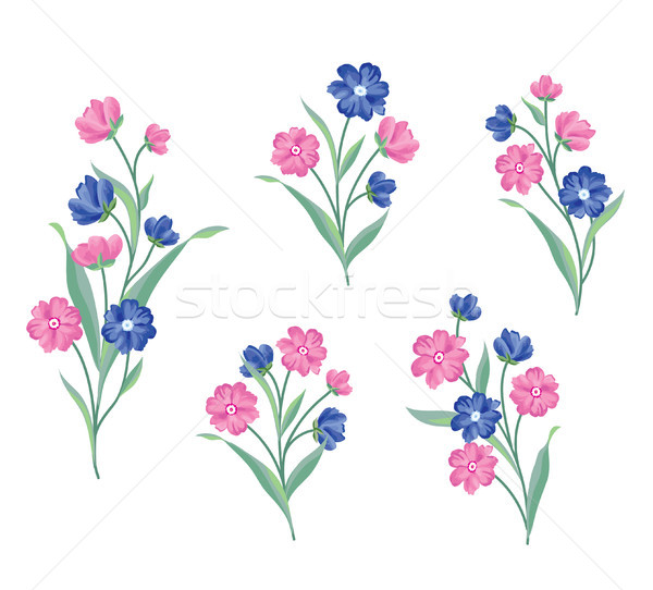 Flower set. Floral bouquet summer decorative collection for gree Stock photo © Terriana