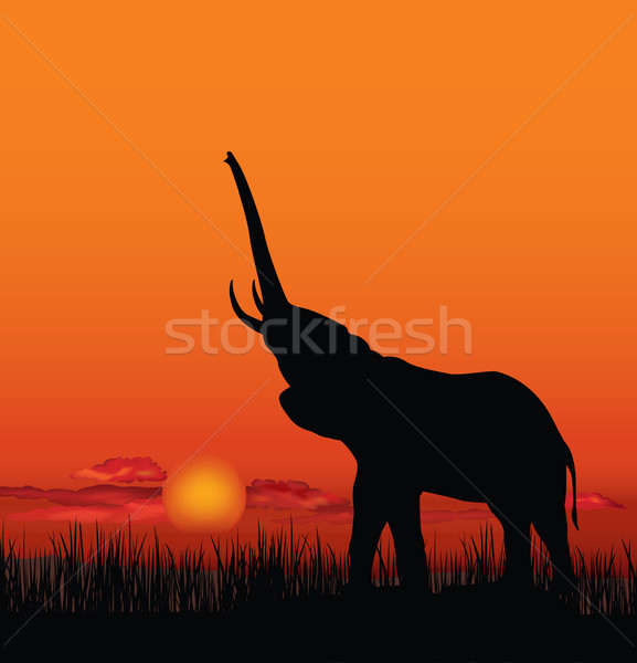 [[stock_photo]]: Africaine · paysage · animaux · savane · coucher · du · soleil · Skyline