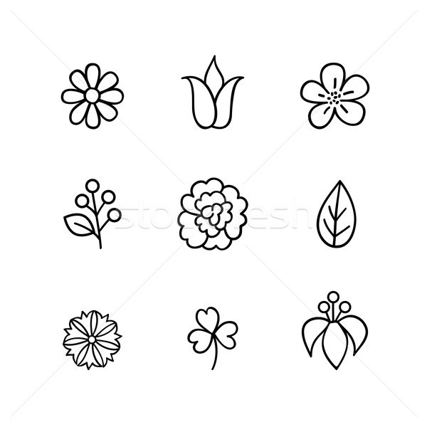 Floral icon set. Flowers, berry and leaves line art icons Stock photo © Terriana