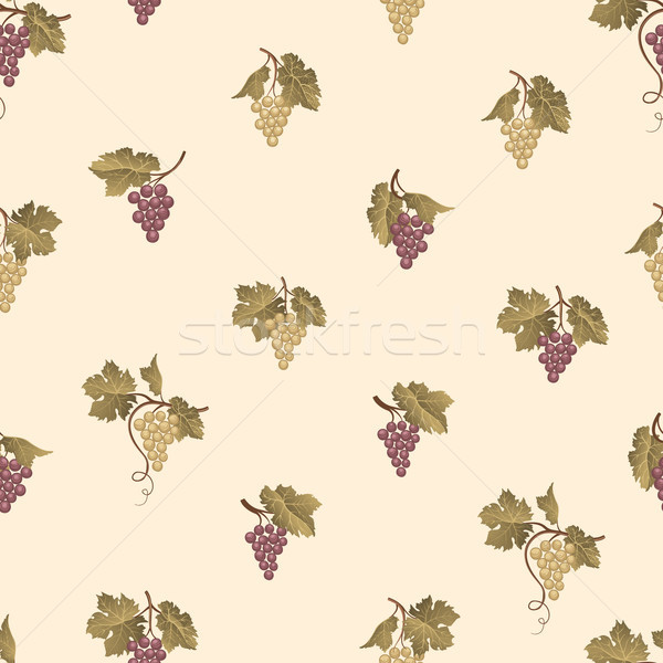 Grape seamless pattern. Wine yard natural fruit ornament. Food b Stock photo © Terriana