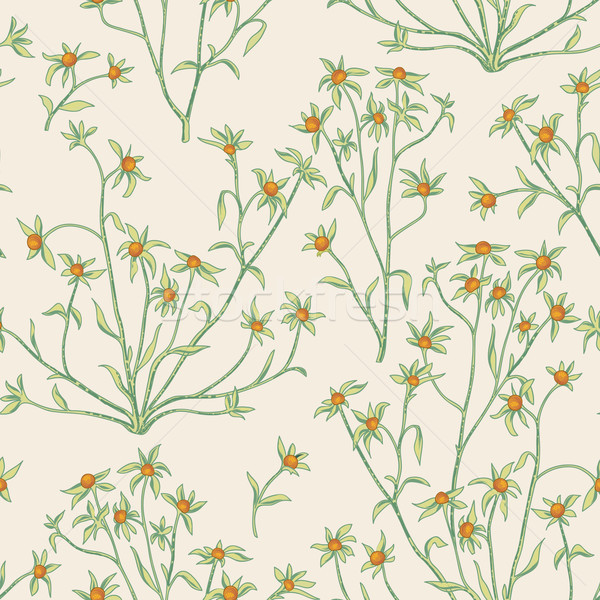 Floral seamless pattern. Flower background. Flourish wallpaper w Stock photo © Terriana