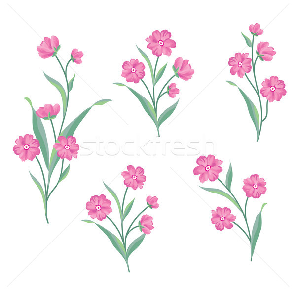 Flower set. Floral bouquet summer decorative collection for gree Stock photo © Terriana