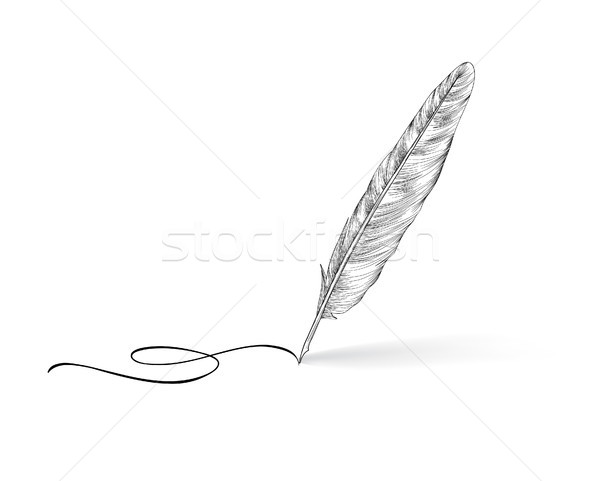 Feather pen icon. Calligraphy sign.  Stock photo © Terriana
