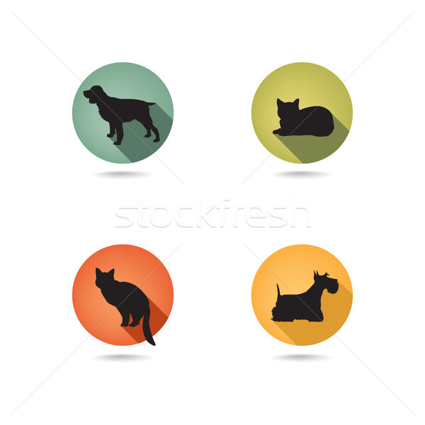 Chien chat ensemble vecteur animaux de compagnie [[stock_photo]] © Terriana