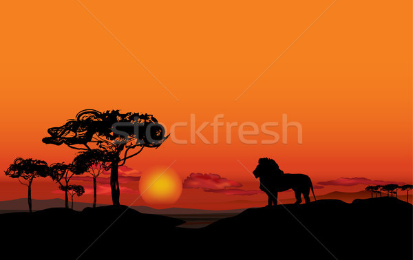 Afrikai tájkép állat szavanna természet naplemente Stock fotó © Terriana