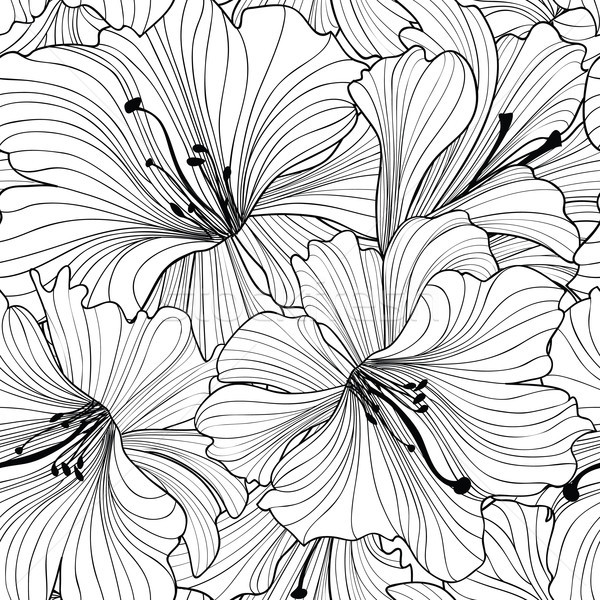 Foto d'archivio: Floreale · fiore · vettore · texture · senza · soluzione · di · continuità