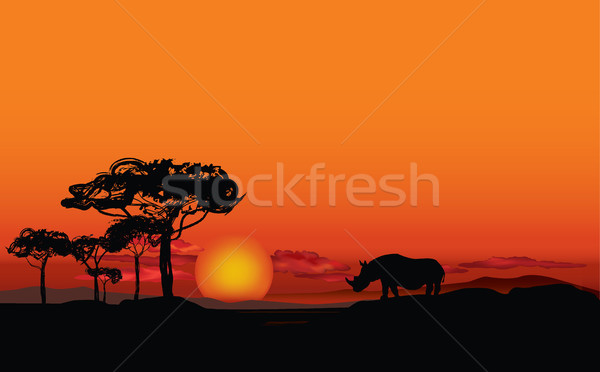 Afrikaanse landschap dier silhouet savanne zonsondergang Stockfoto © Terriana