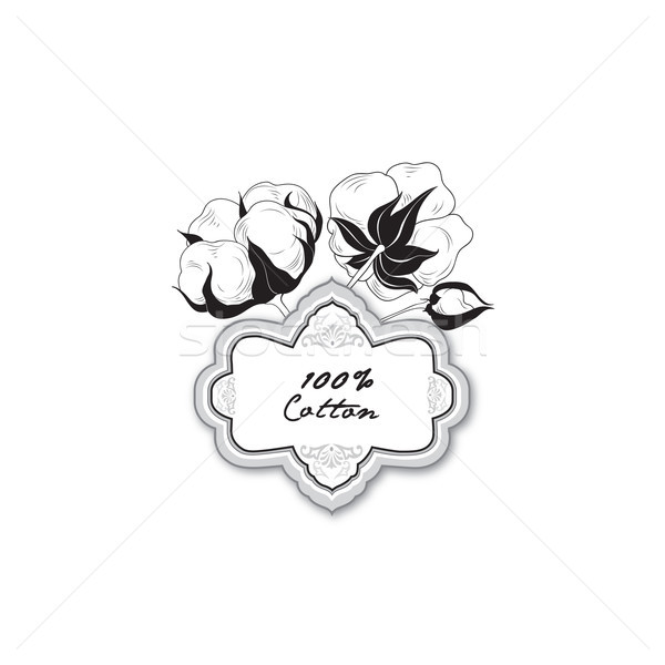 Cotton label. Natural material sign with cotton flower boll. Flo Stock photo © Terriana