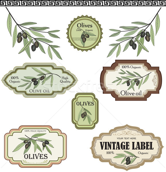 Vintage olive labels set. Organic food colored sketch sign set. Mediterranean cuisine sticker collec Stock photo © Terriana