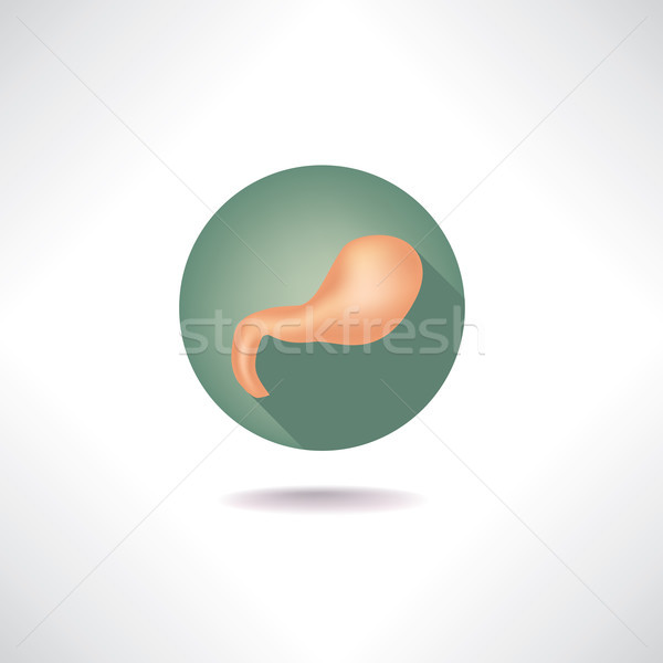 ストックフォト: 胃 · アイコン · 人間 · オルガン · 解剖 · にログイン