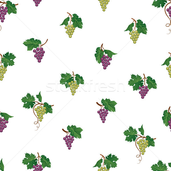 Grape seamless pattern. Wine yard natural fruit ornament. Food b Stock photo © Terriana